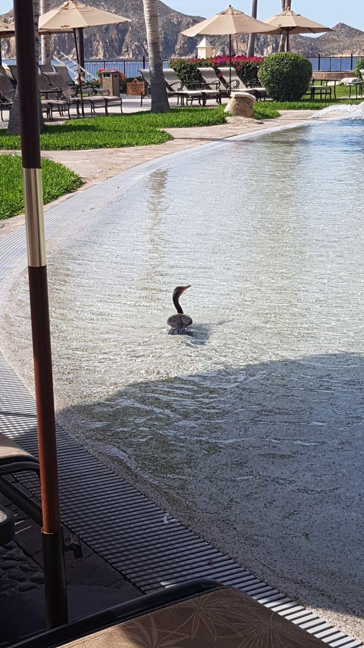 photo_2020-03-21_09-48-12